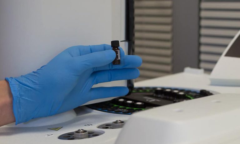 What Is The Breeding Process About?