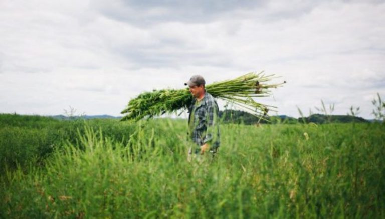 Hemp Farming Act of 2018 introduced by Sen. Mitch McConnell