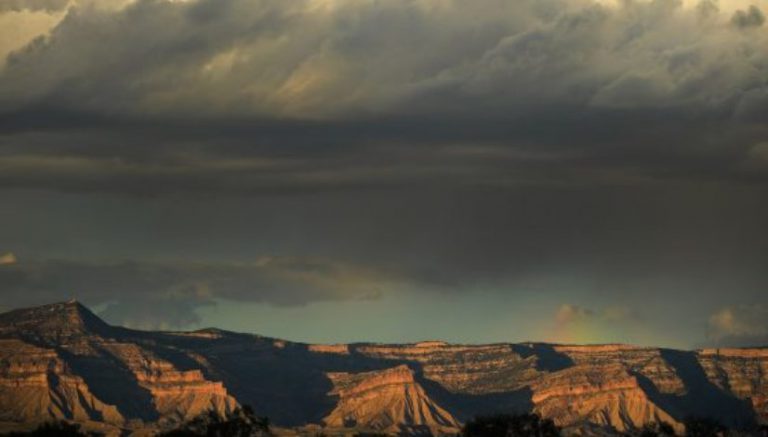 In order to keep 5 marijuana licenses, Colorado town trustee resigns 2 days after winning election