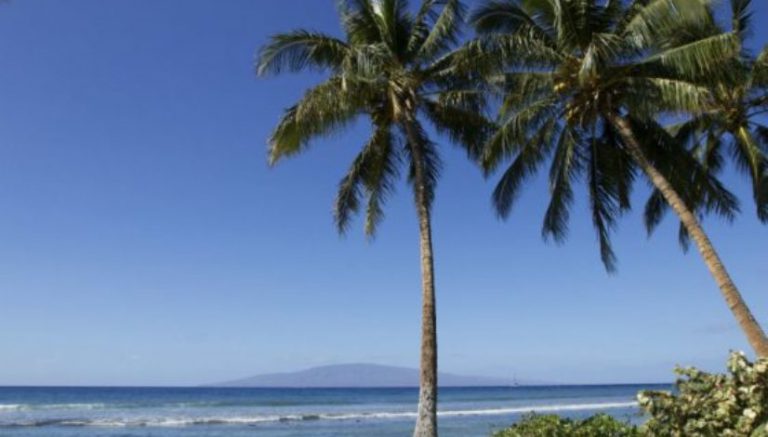 Two doctors invested $1.1 million in a Colorado hemp-oil company. Their money ended up funding a Costa Rican wildlife refuge.