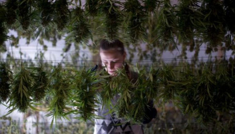 Recreational marijuana bill clears Connecticut legislative committee