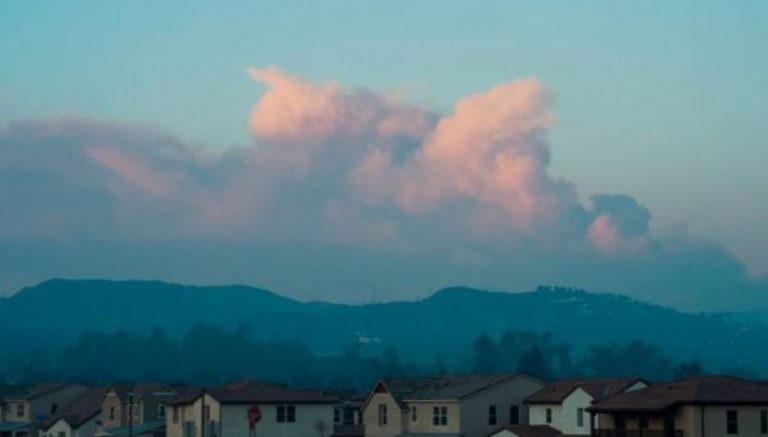 California cannabis company receives historic $1 million insurance payout following fire