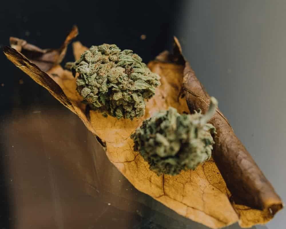 Blunts vs. Joints: What Is The Difference? Joint vs Blunt?