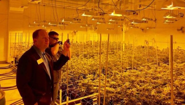 “A day to celebrate.” Rep. Jared Polis lauds Colorado marijuana industry during 4/20 grow op tour