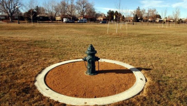 Dogs become sick after ingesting marijuana at Vermont state park