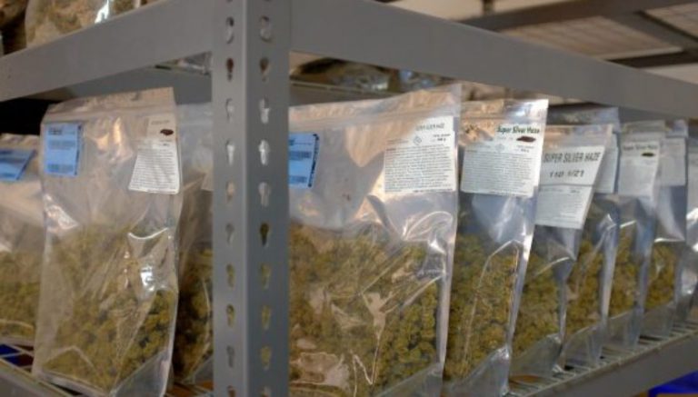 Cannabis sales forecast suggests it may surpass soda by 2030