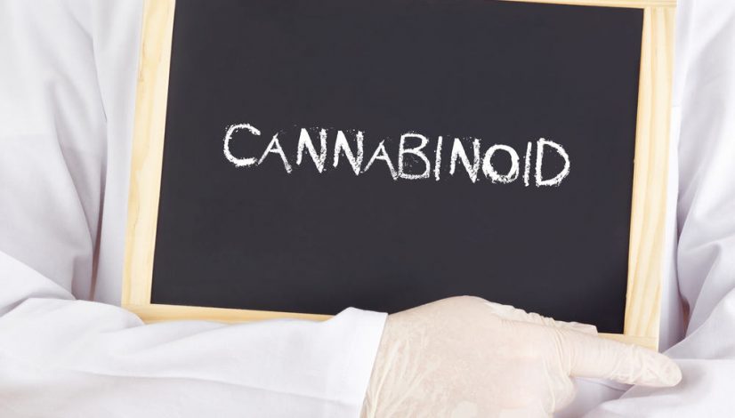 the-ultimate-guide-to-cannabinoids-in-cannabis_1