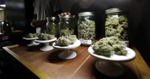 Massachusetts draft marijuana cooperatives, weed news, Jeff Sessions