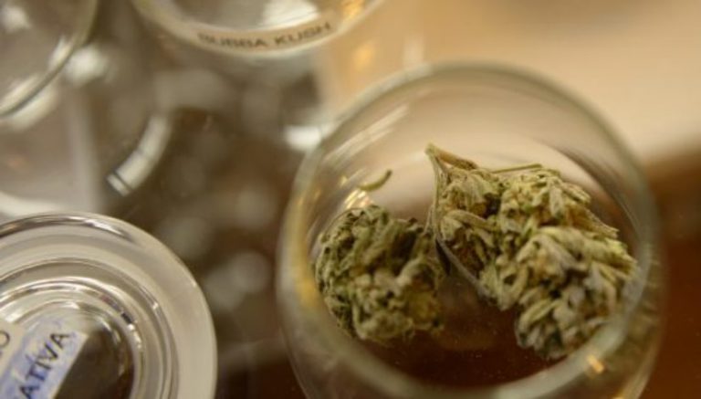 500 tons of marijuana was produced for sale in Colorado last year