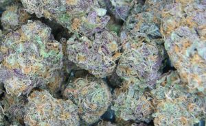 Best Cannabis Strains For Fighting Insomnia
