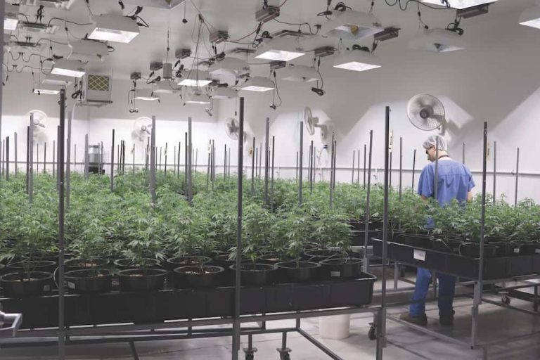 Growing the Advanced Way