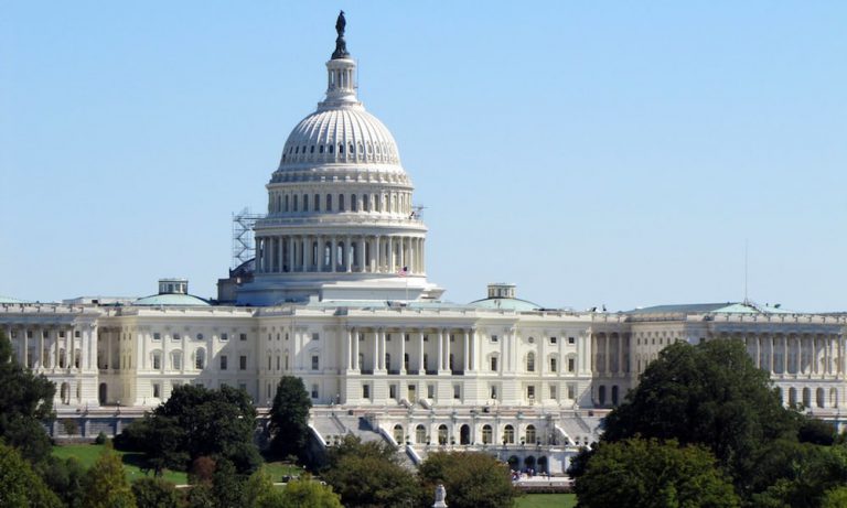 Inside Washington DC’s Pop-Up Marijuana Markets