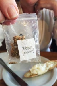 Meet Sexxpot The Cannabis Aphrodisiac