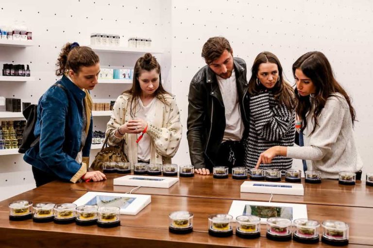 The 10 Best Marijuana Dispensaries in Los Angeles