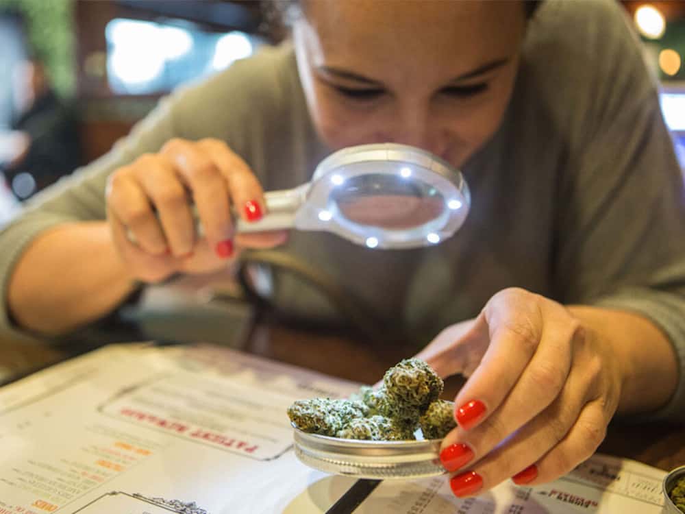 The Ten Best Dispensaries in San Francisco