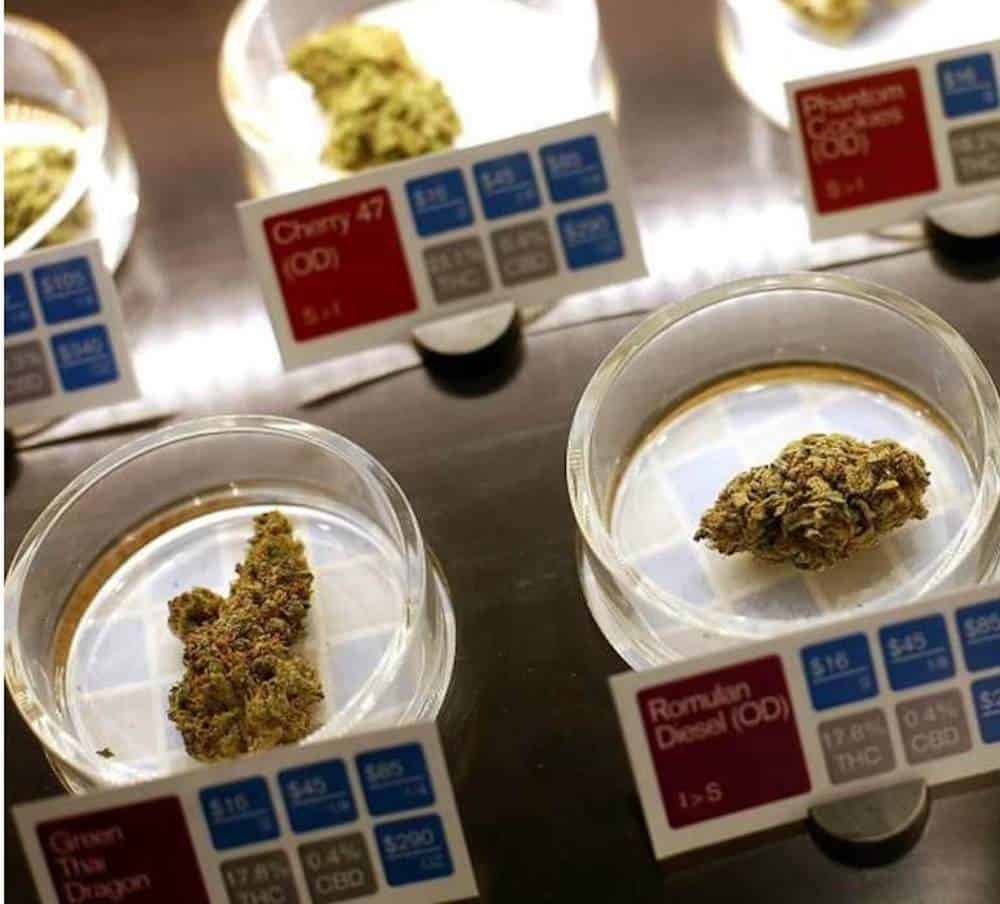 The Ten Best Dispensaries in San Francisco