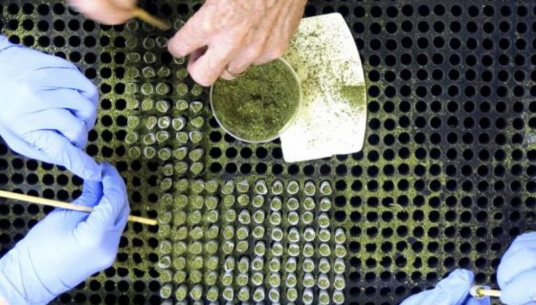 Some parents fear changes to state laws as FDA weighs use of CBD pharmaceuticals