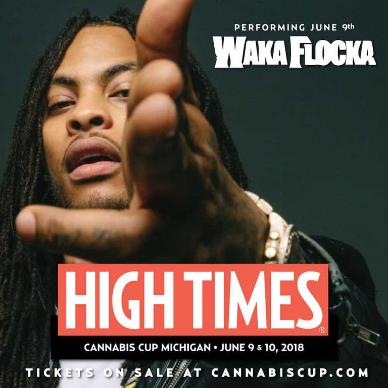 Here’s The Music Lineup for the 2018 Michigan Cannabis Cup