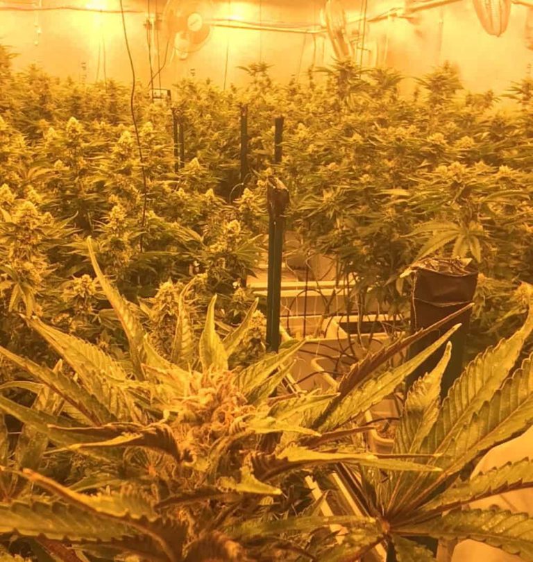 Switching to LED? Here’s What You Need to Know