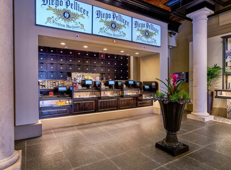 The 12 Best Marijuana Dispensaries in Seattle