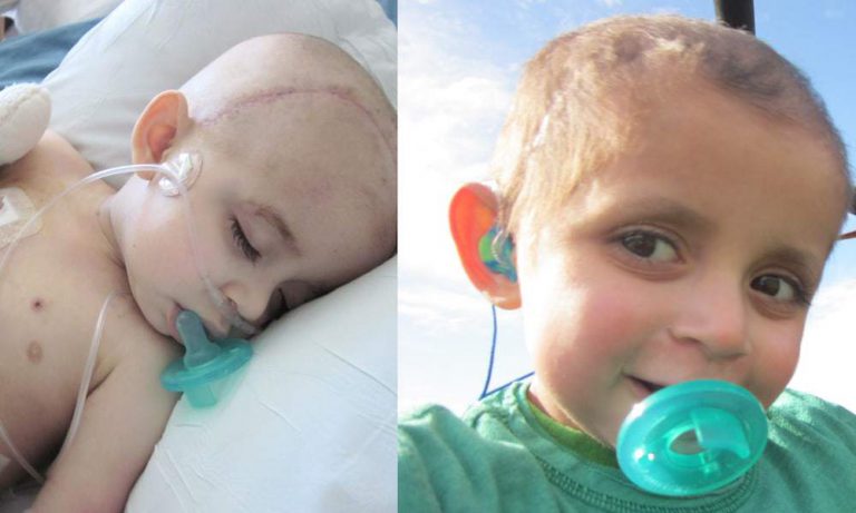 The Sacred Plant: The Medicine and Politics Behind Marijuana