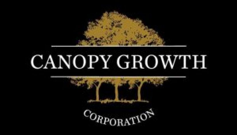 tnmnews-interview-with-amy-wasserman-marketing-director-for-canopy-growth-corporation_1