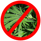 Scott Chipman, anti-marijuana groups, marijuana legalization, cannabis news