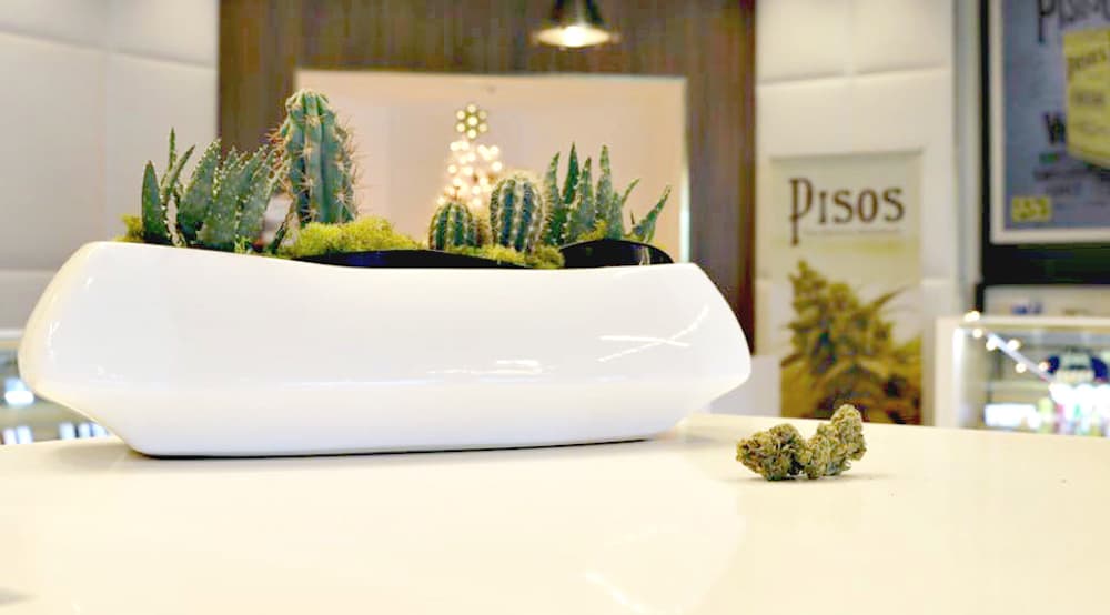 The 10 Best Marijuana Dispensaries in Las Vegas