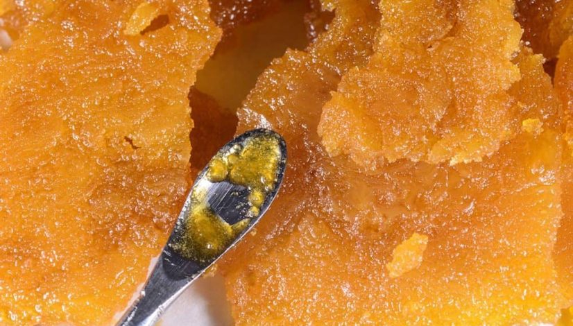 the-12-most-potent-thc-concentrates_1