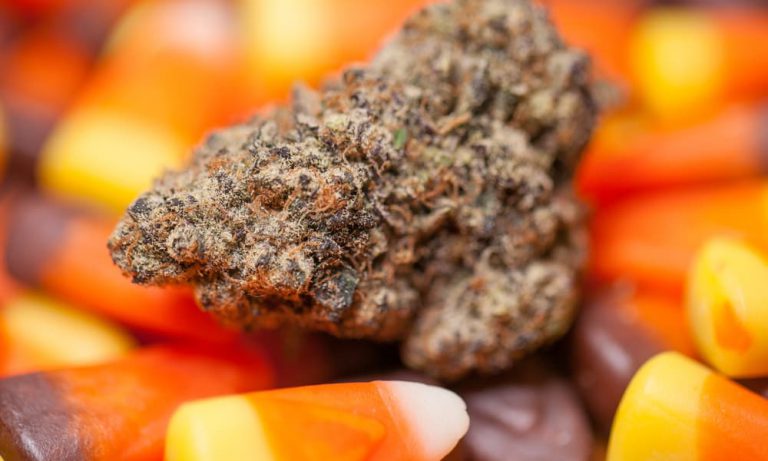 The Best Holidays For Weed