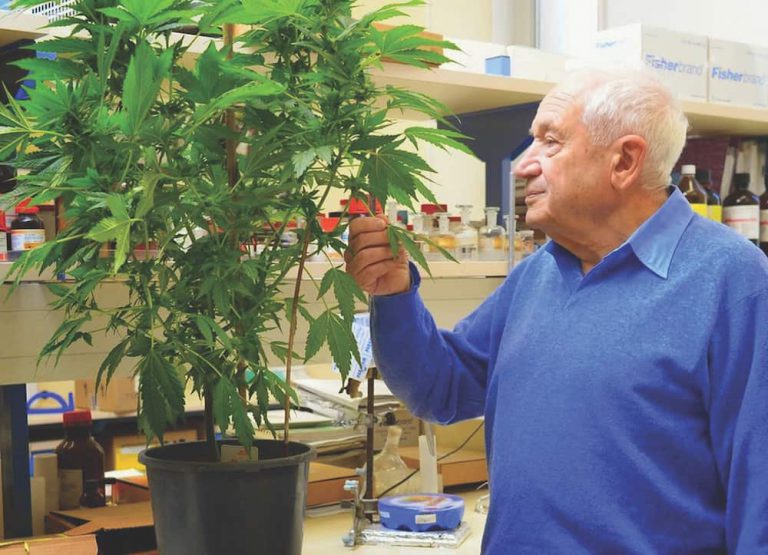 The Truth About Terps