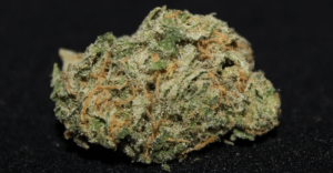 Hawaiian Sativa Strains That Can Help Your Digestive System, marijuana news, IBS