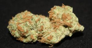 strawberry cough, nausea, cramps, weed news, marijuana strains