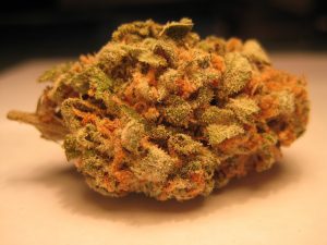 Thors Hammer, Strains That Can Help Your Digestive System, trending marijuana news