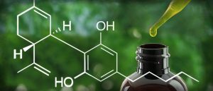 How To Extract Your Own CBD Oil, cannabis news, marijuana legalization