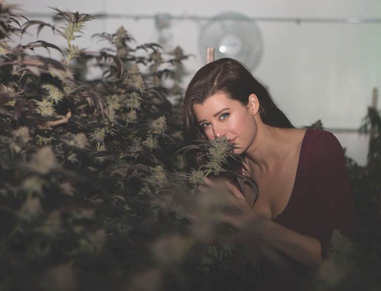 Sarah McDaniel: Super High and Driven