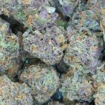 Fighting Chronic Fatigue With Cannabis,cannabis and fatique,cannabis helps fatigue,CFS,Chronic Fatigue Syndrome,legalize,Marijuana News,weed news