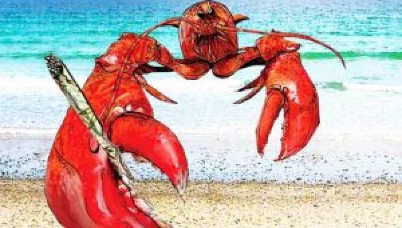 getting-lobsters-high-on-weed-is-illegal-in-maine_1