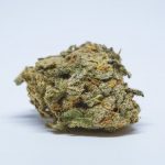 The Best Cannabis Strains For Fighting Depression, cannabis news, harlequin strain 