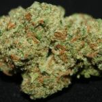 The Best Cannabis Strains For Fighting Depression, jack herer, medical marijuana, weed news