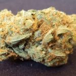 The Best Cannabis Strains For Fighting Depression, pennywise strain, marijuana research, cannabinoids, legalize weed