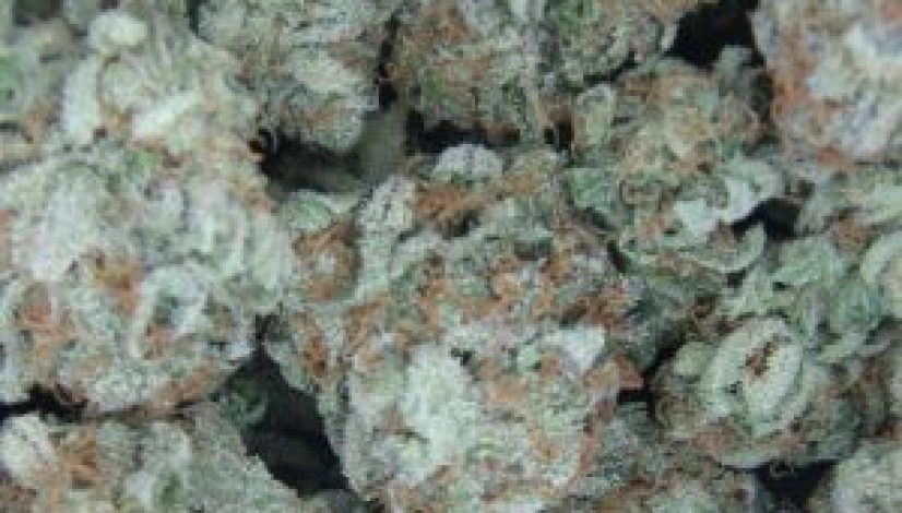the-best-cannabis-strains-for-pain-relief_1