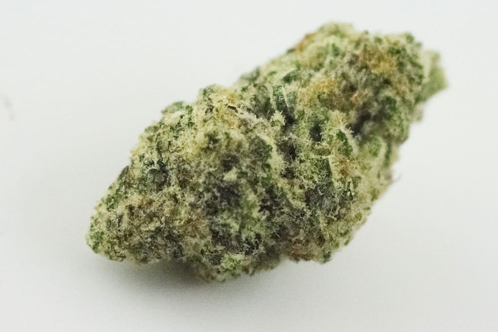 Winners of the September 2018 Michigan Cannabis Cup