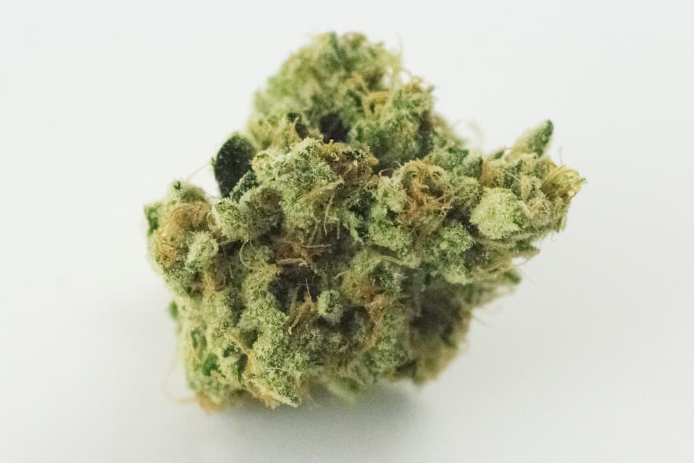 Winners of the September 2018 Michigan Cannabis Cup