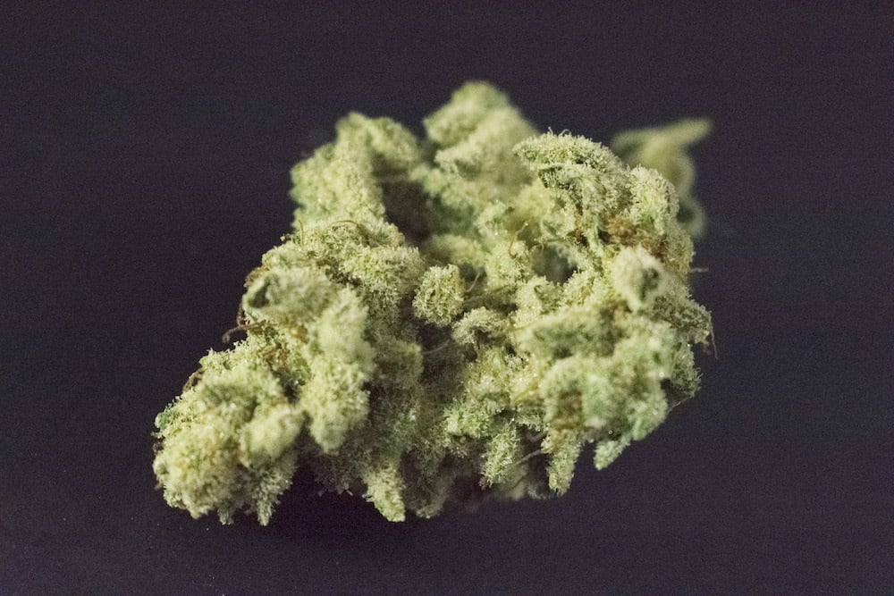 Winners of the September 2018 Michigan Cannabis Cup