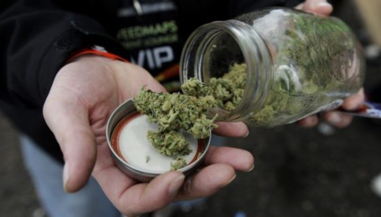 Colorado’s anticipated marijuana report details youth usage, driving and crime over the last 5 years