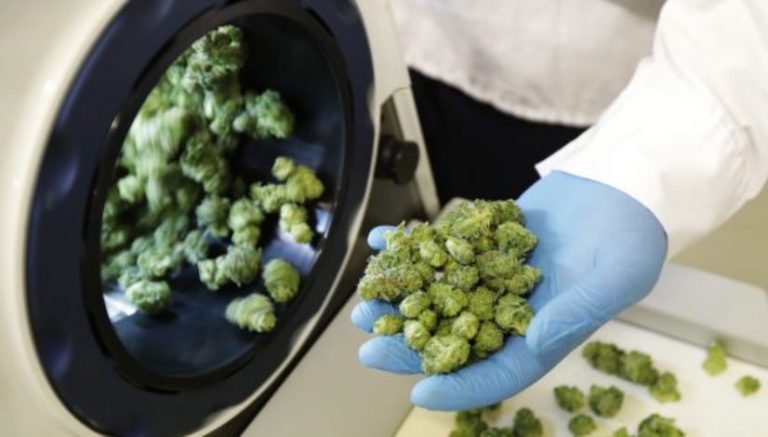 Marijuana legalization in Canada won’t change NHL — yet