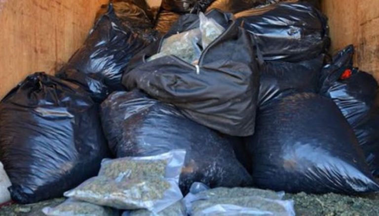 Bust uncovers 1,500 pounds of marijuana, worth estimated $4.5 million, in Montrose County