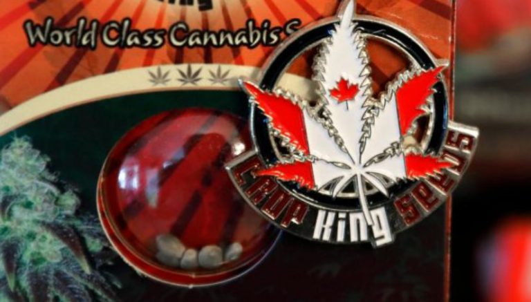 Canada set to become largest country with legal marijuana sales