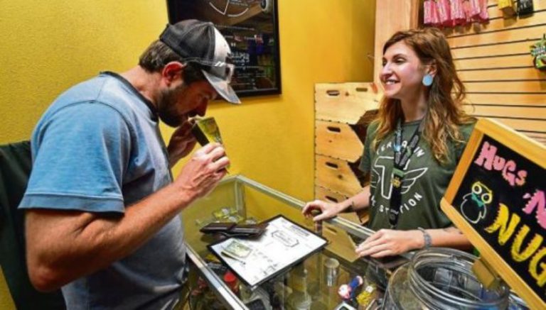 Terrapin Care Station offers discounted weed for registered voters